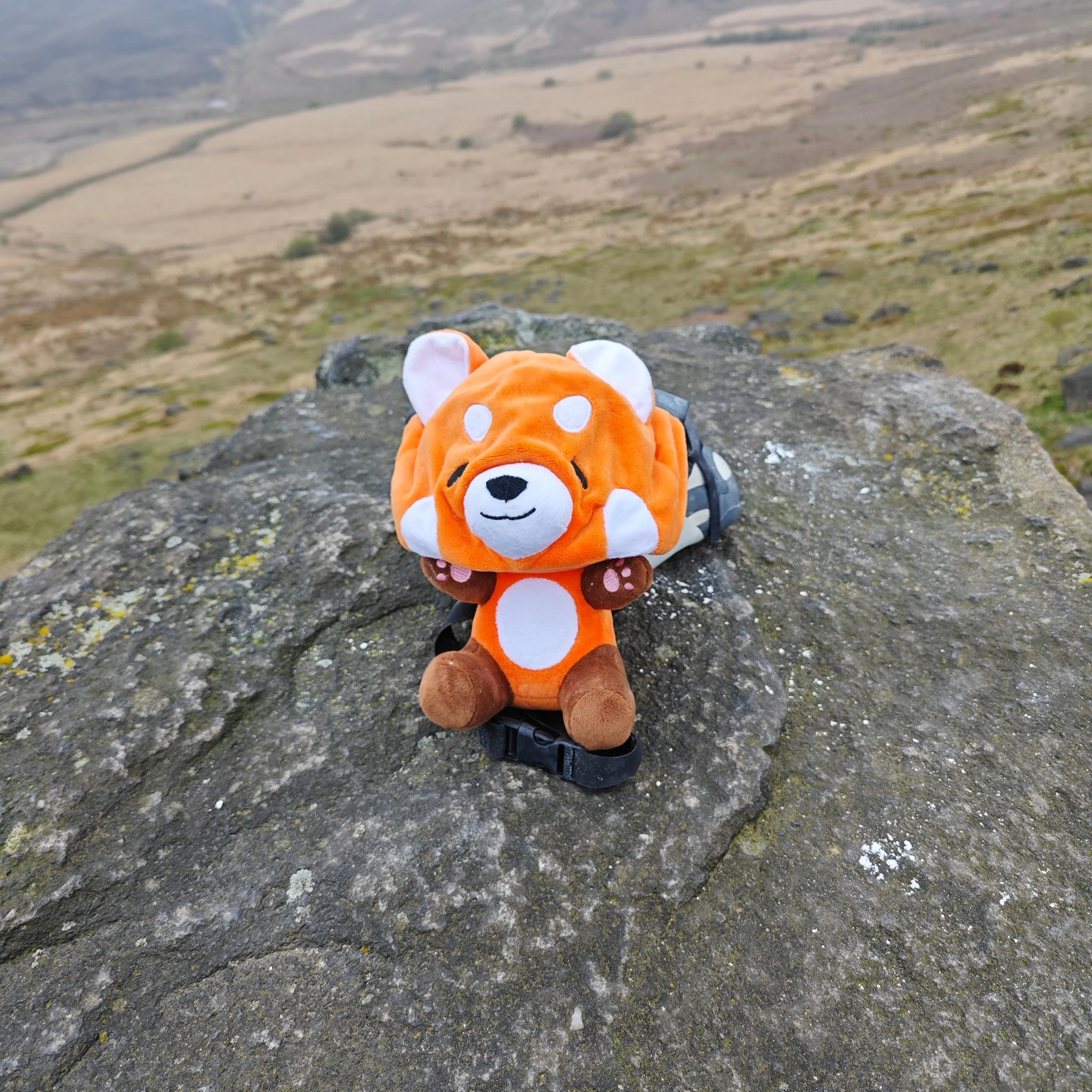 Chibi Collection Climbing Chalk Bags - Zenkiko